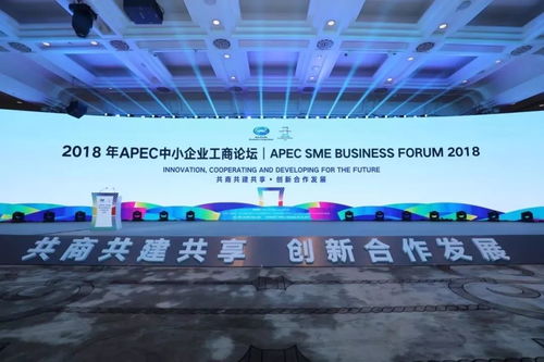 科技創新助中小企業發展壯大 以互聯網軟硬件技術開發驅動新增長